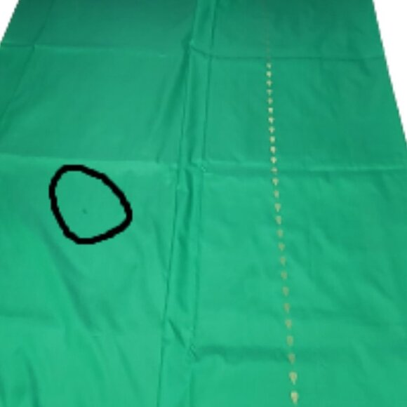 Green Saree with a Gold Border and Gold Accents- Unstitched- NEW - Picture 10 of 14